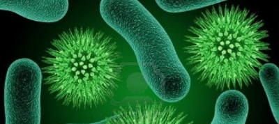 Учени: Религиите се причинени от бактерии