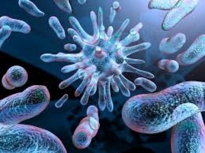 Опасни супербактерии заразяват хора, животни и храни