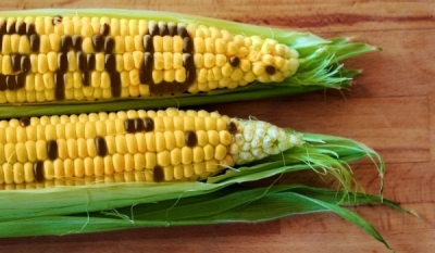 Забраняват рекламите на ГМО продукти и ”вредни храни”