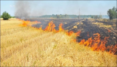 Пожарът в Бургаско е овладян