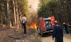 120 пожара дневно и 78 жертви от началото на годината