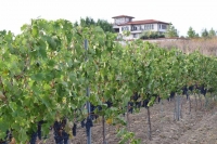 Винопроизводители с номинации в Burgas Business Awards