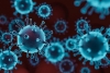 Новият коронавирус мутира по-рядко от грипния вирус и ебола 
