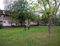 Общината засажда 35 дървета в парка на кв. „Работнически жилища“
