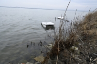 Втората инициатива за намаляване на замърсяването от земни източници на морската среда се проведе на Поморийското езеро