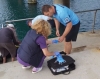 Общинският служител, спасил мъж от удавяне, бе удостоен с почетна значка