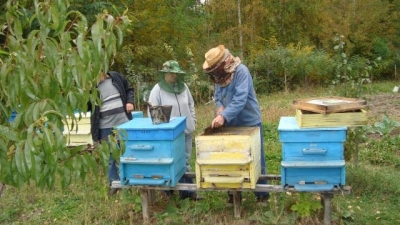 Обучават бургаските пчелари през февруари
