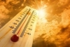 Топлинен стрес – ще станат ли някои региони на Земята прекалено горещи за хората? 