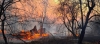Бедствено положение в община Свиленград заради голям пожар 