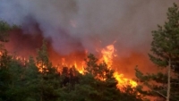 Пожарът в Кресна предизвика еко катастрофа