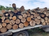 Над 200 куб. м. дървесина задържаха горските служители на РДГ-Бургас