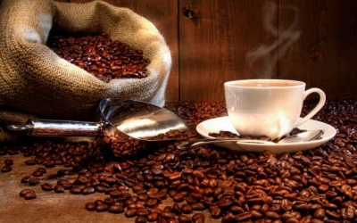 Какви са ползите и вредите от кафето 