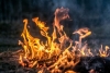 Екстремна опасност от пожари в 7 области на страната 