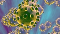 Истината за коронавируса, колко е опасен