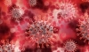 Нови 53 случая на коронавирус за последните 24 часа, двама са починали 