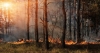Повишена опасност от пожари в 5 области на страната 