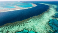 Най-лошото лято в историята за Големия бариерен риф