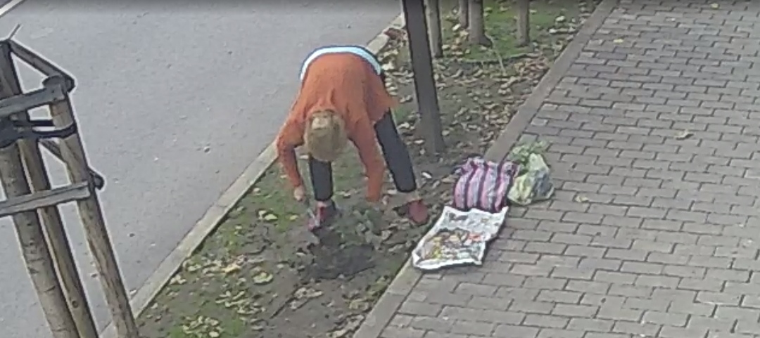 Екипът на Регионална библиотека "Пейо Яворов" издирва неизвестна жена за благодарност