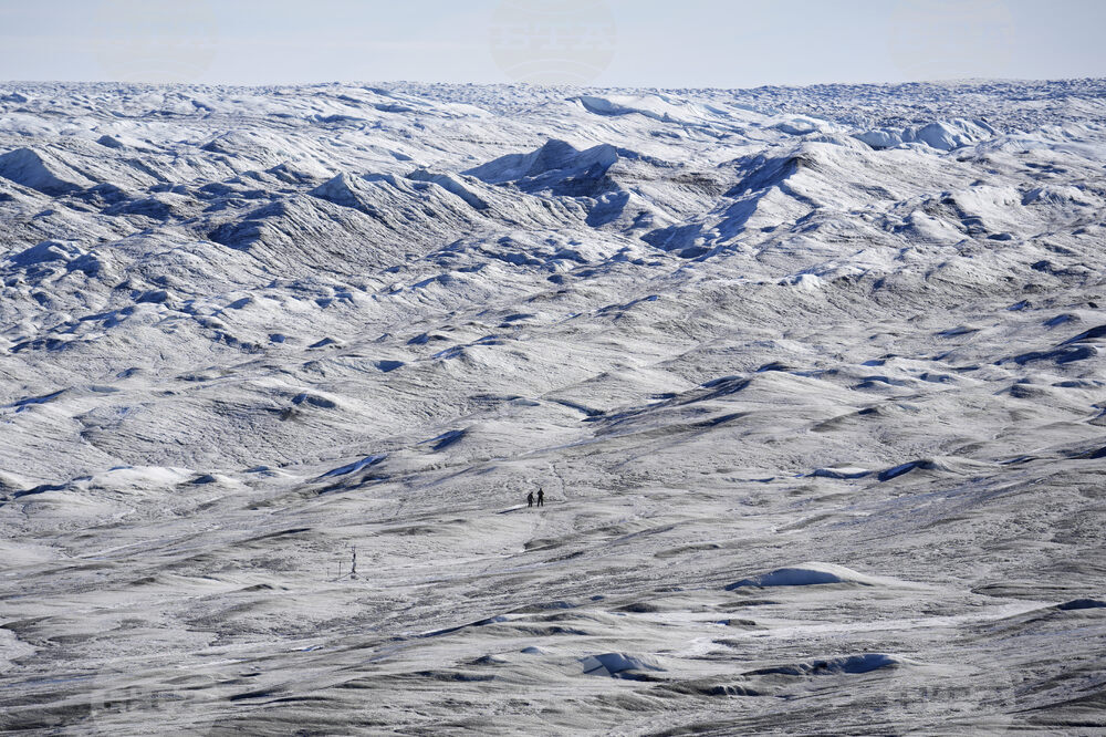 Седем европейски държави отхвърлиха претенциите на Тръмп над Гренландия